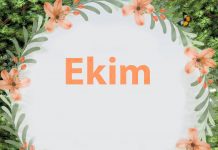 Yogarama Ekim Programı
