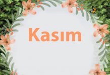 Yogarama Kasım Programı