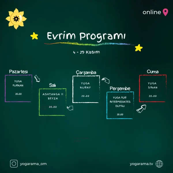 Evrim Kasım Programı