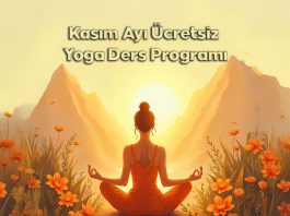 Kasım Ayı Ücretsiz Yoga Ders Programı